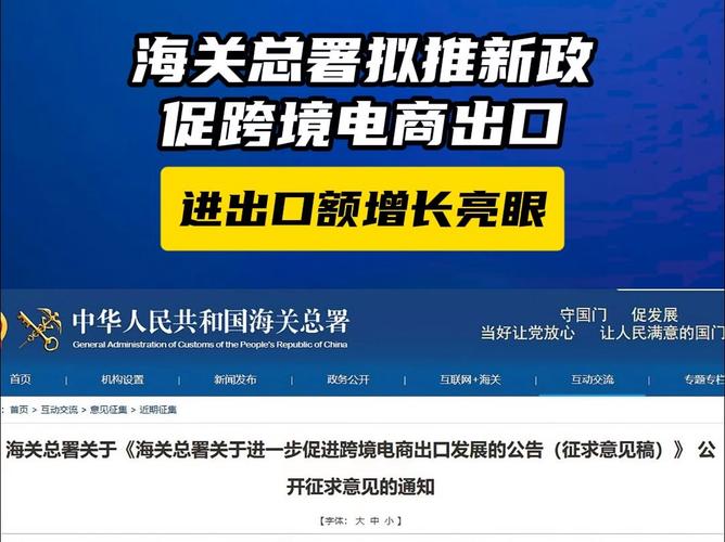 瑞丽报关业务服务
