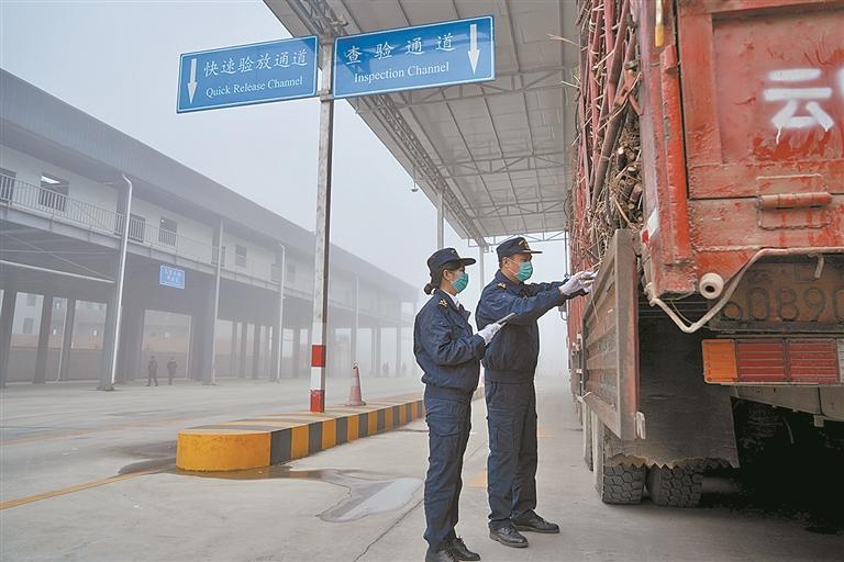 瑞丽报关资料
