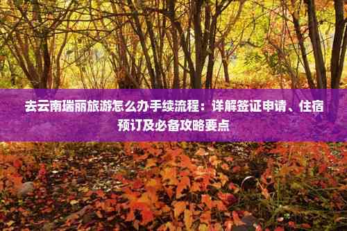 去云南瑞丽旅游怎么办手续流程：详解签证申请、住宿预订及必备攻略要点
