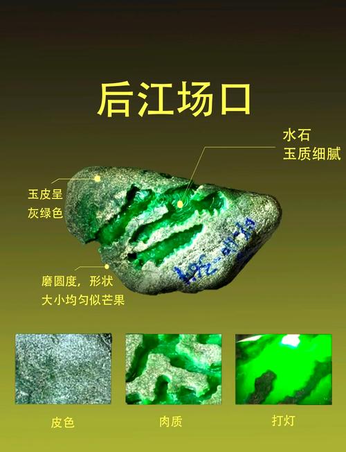 云南报关行业分析