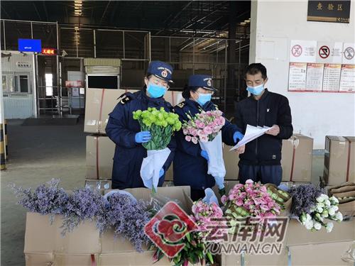 云南报关服务流程