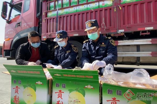 瑞丽报关口岸服务