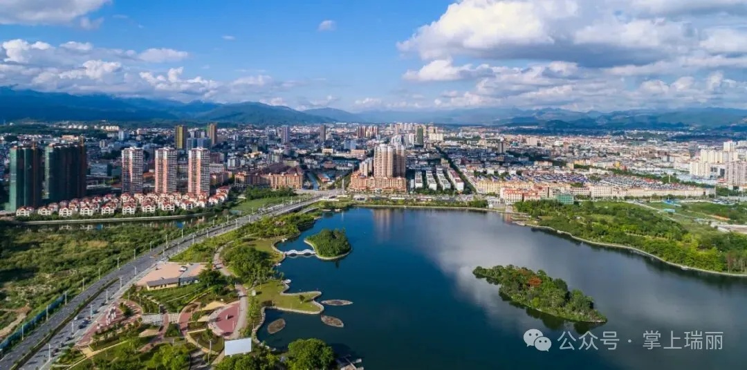 瑞丽电子口岸报关