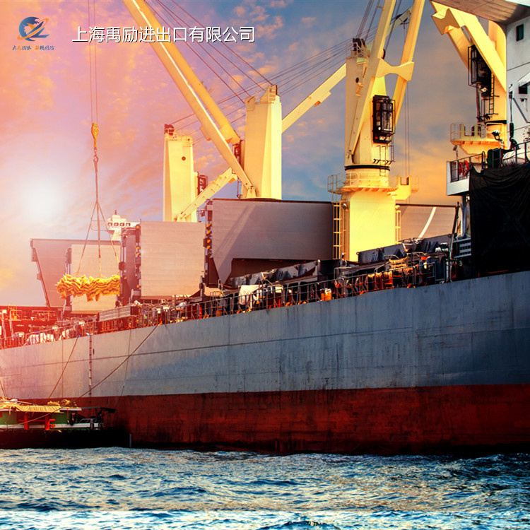 上海芦荟报关公司