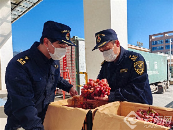 云南报关业务服务