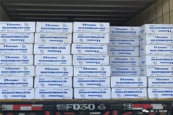 瑞丽电子口岸报关