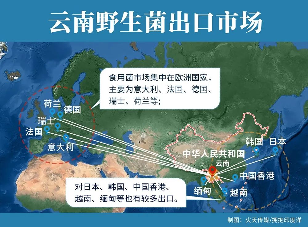 瑞丽报关行业规模