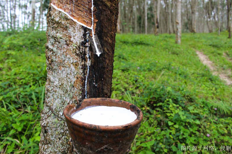 云南进口报关流程