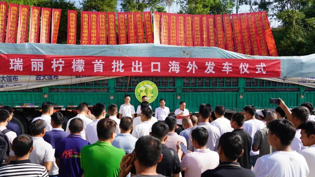 瑞丽报关业务合作