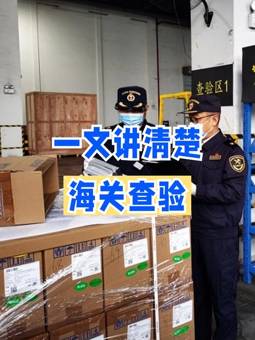 监管证件联网状态