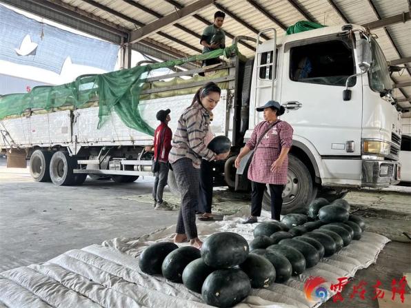 瑞丽报关口岸服务