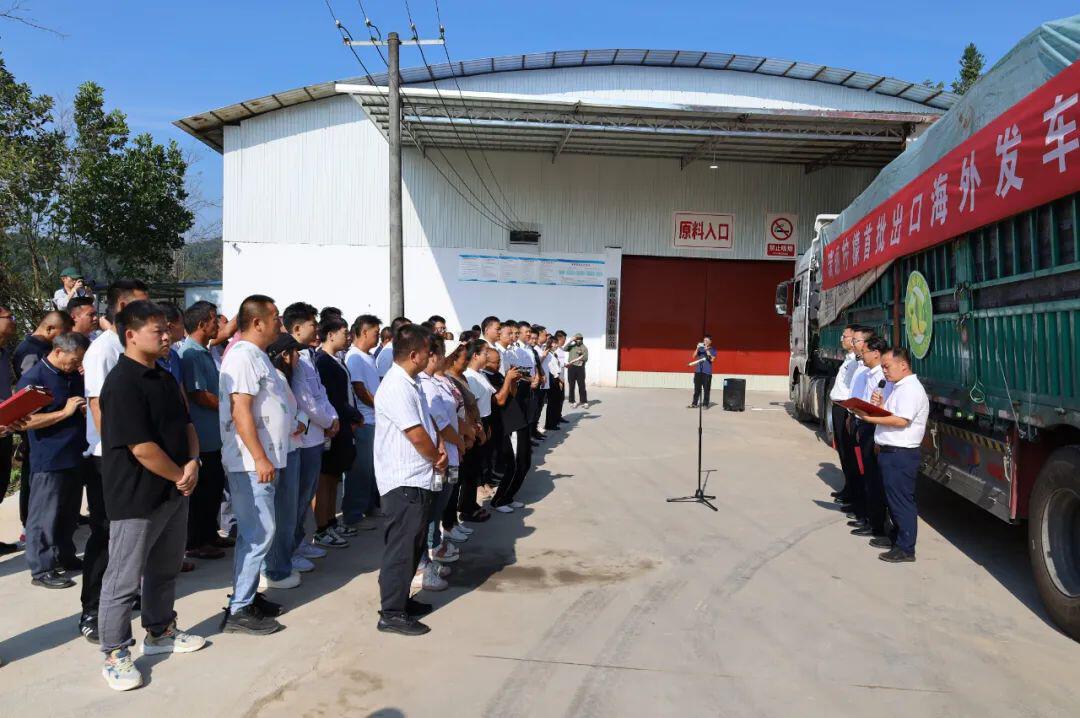 瑞丽报关市场趋势