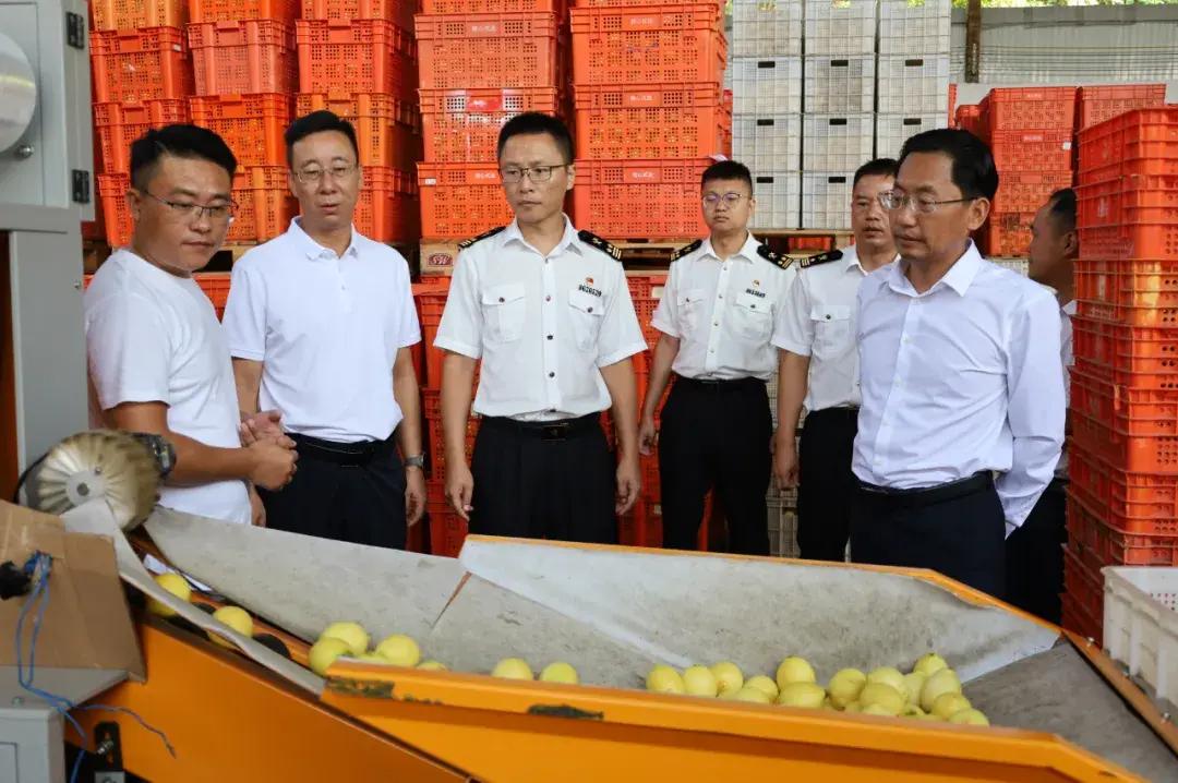 瑞丽报关市场趋势