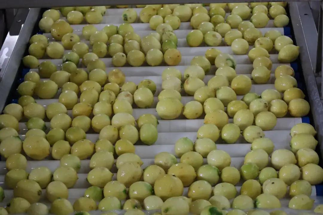 瑞丽报关市场趋势