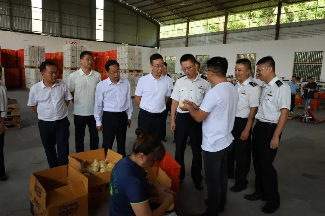 瑞丽报关市场趋势