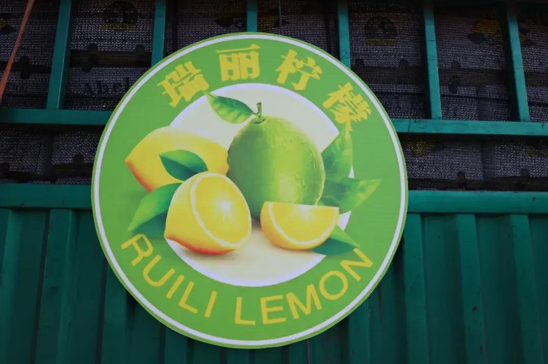 瑞丽报关市场趋势