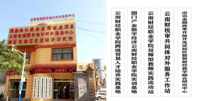 瑞丽报关行业分析